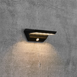 Agena Solar Wall Light